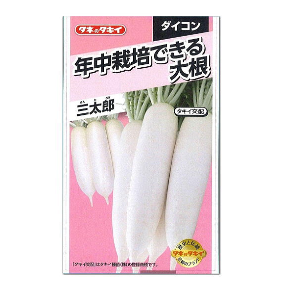 タキイ 三太郎 大根 ADA0F6 種 家庭菜園 ダイコンのタネ 野菜 だいこん たね 種子のサムネイル