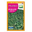 タキイ ダイカンドラ コート グランドカバー 種 BLG609 景観用 花壇 たね タネ 種子 園芸 ガーデニング
