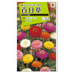 タキイ 百日草 サンボウ 混合 FZN329 種 種子 花 植物 タネ たね 花壇 プランター 鉢植え 草花 ヒャクニチソウ ジニア 切り花 切花