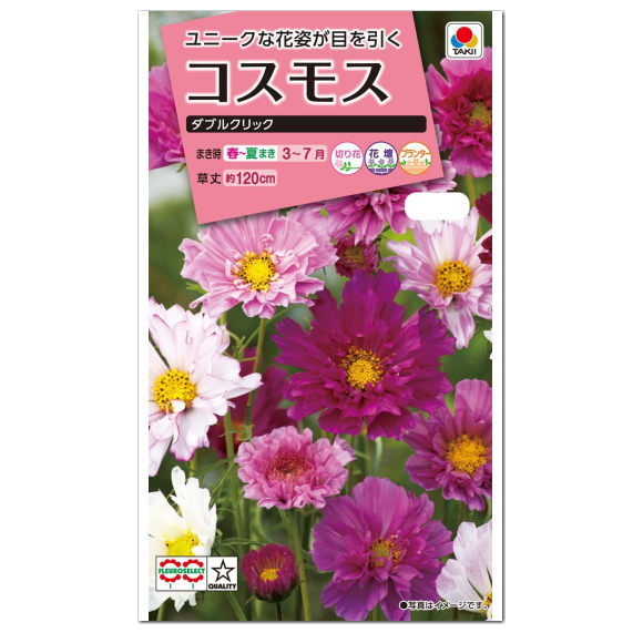 タキイ コスモス ダブルクリック FCS229 種 種子 花 植物 タネ たね 花壇 プランター 鉢植え 草花 切り花 切花 秋桜 アキザクラ