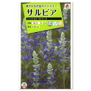 タキイ サルビア ファリナセア ストラータ FSR513 種 種子 花 植物 タネ たね 花壇 プランター 鉢植え 草花 切り花 切花 ケショウサルビア