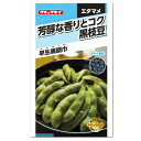 タキイ種苗 黒枝豆 早生黒頭巾 種 AED161 家庭菜園 プランター栽培 簡単 枝豆のタネ 野菜 たね 種子 エダマメ えだまめ タネのタキイ