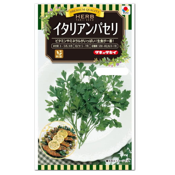 タキイ ハーブ イタリアンパセリ ATY625 種 二年草 家庭菜園 パセリのタネ たね 種子 料理用 ハーブ HERB