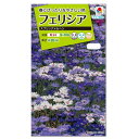タキイ種苗 フェリシア スプリングメルヘン 種 FZZ840 種子 花 植物 タネ たね 花壇 切り花 ドライフラワー プランター 鉢植え アレンジ ルリヒナギク