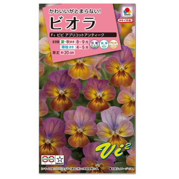 タキイ ビオラ ビビ アプリコットアンティーク FBR537 種 種子 花 植物 タネ たね 花壇 プランター 鉢植え 草花