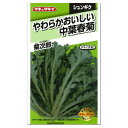 タキイ やわらかおいしい中葉春菊 菊次郎 ASN119 種 家庭菜園 プランター栽培 キクナ しゅんぎく たね タネ 緑黄色野菜 シュンギクの種子