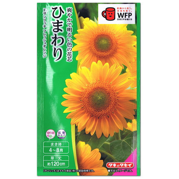 タキイ ひまわり サンリッチ フレッシュオレンジ 種 FHM515 種子 花 植物 タネ たね 花壇 プランター ..