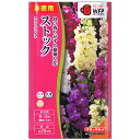 タキイ種苗 お徳用 切花向ストック カラフルミックス 種子 草丈約70cm 花壇 切花 プランター