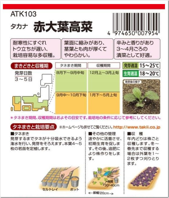 タキイ種苗 赤大葉高菜 種子 約1100粒 秋まき タカナ たかな カラシナ たね 家庭菜園 野菜 栽培 高菜漬け タカナ たかなのタネ