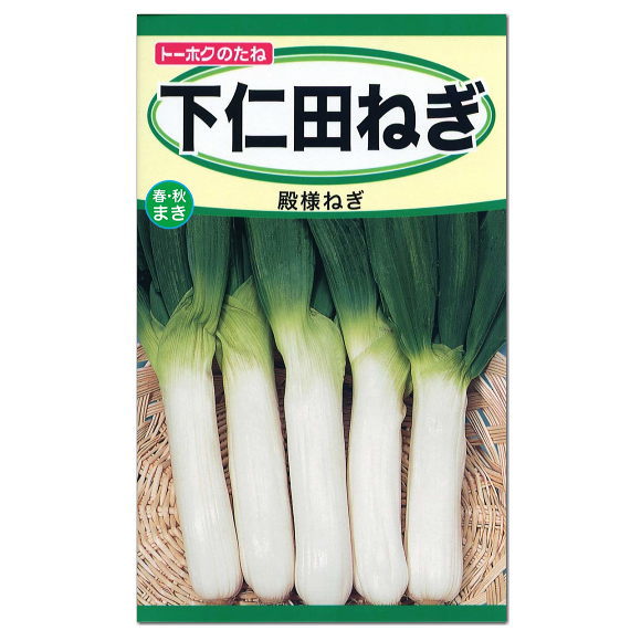 トーホク 下仁田ねぎ 種 家庭菜園 野菜 しもにたねぎ 殿様ねぎ ネギのタネ 野菜 たね 種子