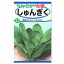 トーホク 丸葉やわらかしゅんぎく 種 たね 家庭菜園 野菜 栽培 プランター栽培 キクナ おたふく春菊 シュンギクのタネ 231円