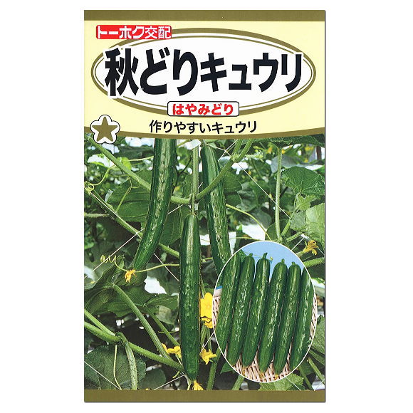 トーホク 秋どりキュウリ はやみどり 種 節成り型品種 家庭菜園 胡瓜 キュウリのタネ きゅうり たね 種子 ホスホリパーゼ シリカ 野菜 栽培