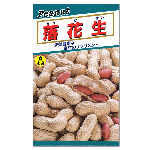トーホク 落花生 種 生産地 茨城県 なかてゆたか 家庭菜園 らっかせいのタネ ピーナッツ ラッカセイ たね 種子のサムネイル