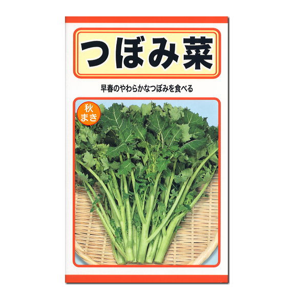 トーホク つぼみ菜 種 種子 たね タネ とう菜 家庭菜園 野菜 栽培 トウ菜のタネ