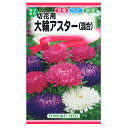トーホク 切花用 大輪アスター 混合 種(花壇 プランター ...