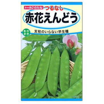 トーホク つるなし 赤花えんどう 種 秋まき キヌサヤ きぬさや さやえんどう 家庭菜園 野菜 たね 種子 エンドウのタネ