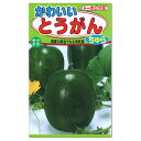 トーホク かわいいとうがん ちゅら 種 種の生産地 栃木県 家庭菜園 冬瓜 ミニトウガン ミニ野菜 たね 種子 野菜栽培 ミニ