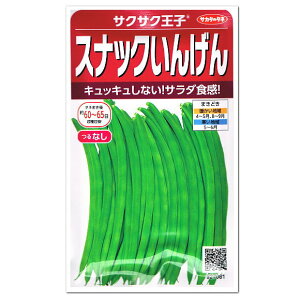 夏菜園｜ベランダのプランターで育てられる野菜！8月に植える種や苗のおすすめを教えて！