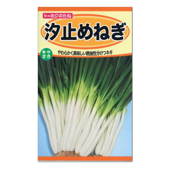 トーホク 汐止めねぎ 種 家庭菜園 野菜 しおどめねぎ ねぎ ネギのタネ 野菜 たね 種子