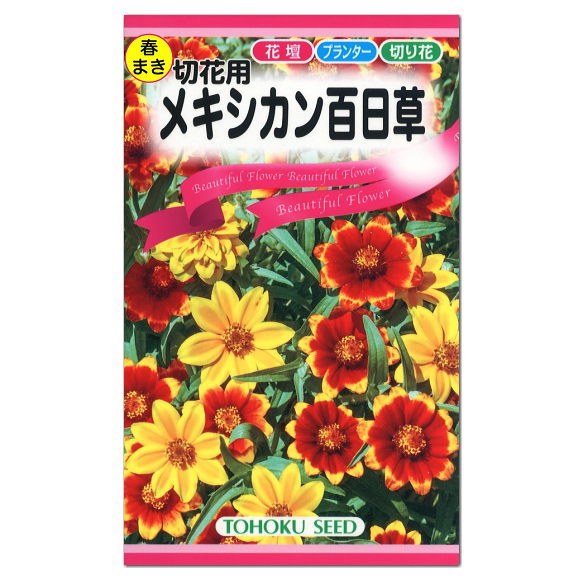 トーホク メキシカン百日草 種 ジニア 花壇 プランター 切花 お花 栽培 たね 種子 タネ ガーデニング