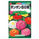 　　トーホク　ポンポン百日草 まき方 　湿らせた土に3〜4粒ずつまきます。　 　土かけ5ミリくらいで、発芽まで乾燥させないようにします。 育て方 　本葉5〜6枚の頃、日当たりと水はけの良い場所に定植します。 　株間は20cm位が適当です。 　花壇は石灰・多めの腐葉土・少量の有機質肥料を施し、良く耕しておきます。 　プランターの場合は花壇と同様の土を使い、 　60cmプランターに3本を目安にしてください。 容量 　2ml その他 　本種子は農薬を使用しておりません。 　■培養土・さし芽・タネまき資材はこちらから &gt;&gt; 　■プランターはこちらから &gt;&gt;