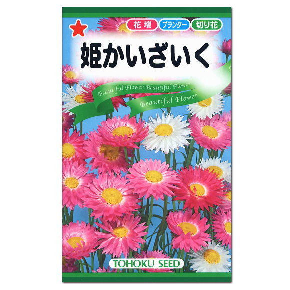 トーホク 姫かいざいく 種 一年草 花壇 プランター 切花 たね 種子 タネ 花かんざし 貝細工