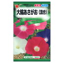 トーホク 大輪あさがお 混合 種 花壇 プランター 朝顔 エコ アサガオのたね 種子 グリーンカーテン 緑のカーテン 大輪朝顔 小学校 教材 栽培 花