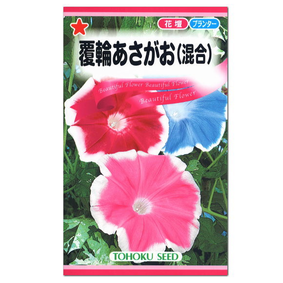 トーホク 覆輪あさがお 混合 種 花壇 プランター 朝顔 緑のカーテン エコ アサガオのたね 種子 タネ グリーンカーテン