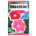 トーホク 覆輪あさがお 混合 種 花壇 プランター 朝顔 緑のカーテン エコ アサガオのたね 種子 タネ グリーンカーテン