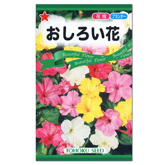 トーホク おしろい花 種 Four o clock 洗澡花 花壇 煮飯花 種子 たね タネ かわいい お花