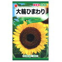 トーホク 大輪ひまわり 種 草丈1.2〜1.6m 花壇 切花 向日葵 夏 豪華 ヒマワリのたね 種子 自由研究