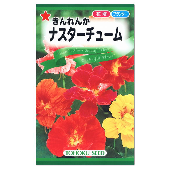 トーホク ナスターチューム 種 ナスタチューム 花壇 プラン