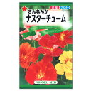 トーホク ナスターチューム 種 ナスタチューム 花壇 プランター ナスタチウム きんれんか たね 種子 エディブルフラワー コンパニオンプランツ