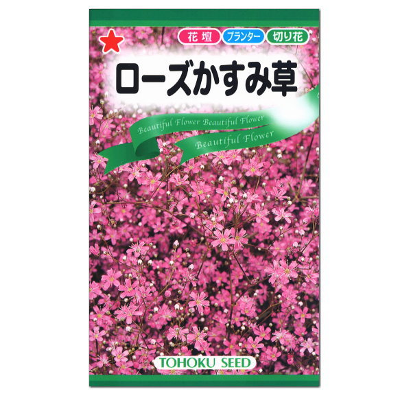 大人気！トーホク ローズかすみ草 種 花壇 プランター 切花 切り花 たね かすみそう ガーデニング