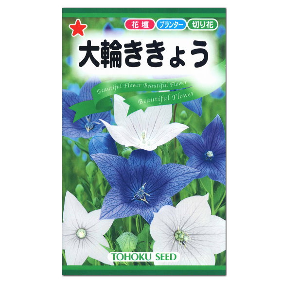 トーホク 大輪ききょう 生産地栃木県 種 花壇 プランター 