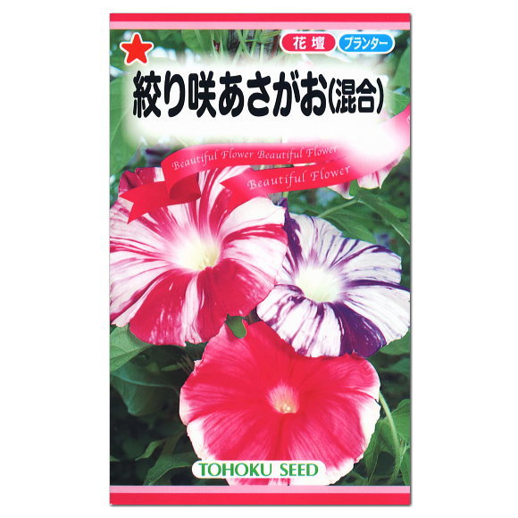 トーホク 絞り咲あさがお 混合 種 花壇 プランター 朝顔 緑のカーテン エコ アサガオのたね 種子 グリーンカーテン