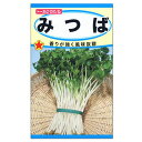 トーホク　みつば　種 生産地：青森県（家庭菜園 プランター栽培 三つ葉 ミツバのタネ）