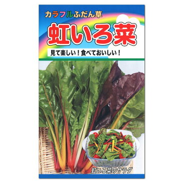 トーホク　カラフルふだん草　虹いろ菜　種 生産地：岩手県（家庭菜園たね 種子 プランター栽培　スイスチャードのタネ）