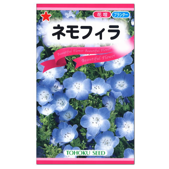 大人気！トーホク ネモフィラ 種 花壇 プランター たね ガーデニング 種子 ねもふぃら ルリカラクサ コモンカラクサ