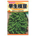 　　トーホク　早生枝豆 科名 マメ科 食用部分 若い子実 発芽適温 20〜30℃ 生育適温 20〜30℃ 冷涼地 北海道、東北地方、新潟県、富山県、石川県、高冷地 中間地 関東、中部、近畿、中国、北陸（一部の高冷地を除く） 暖地 四国・九州、沖縄県 ※上記の地域区分はあくまでも目安です。 　お住まいの気候条件に合わせて栽培してください。 　種の内容量：30ml 　早まきに適した白鳥系品種です。 　85日くらいで収穫でき、草丈60センチくらいになる大さやのおいしい早生品種です。 　土質をあまり選ばず、どこでも手軽に作れます。 　プランター栽培にもおすすめです。 　収穫直後にゆでたての枝豆は風味も食感も最高です。 　家庭菜園だからできる、とれたての味を楽しんでください。 　枝豆は、育て方も簡単で土質もあまり選ばず、どこでも手軽に作れます。 　病気にも強く、根に寄生する「根瘤菌」によって土中の窒素成分を増やす効果があります。 　枝豆は肝臓機能向上、整腸、造血作用、ホルモンバランス調整に良いといわれています。 　晩酌のお供に、二日酔い防止にどうぞ！ 　プランター栽培もオススメです。 　 　 　プランターはできるだけ大き目のプランター楽々菜園がおすすめです。 　特に土質を選びませんので市販の培養土でOK！ 　プランター栽培の場合、早生種の枝豆がおすすめです。 ※育て方は他の品種と共通です。詳しくは種袋の裏面の記載をご確認ください。 　ワンポイント　 　　エダマメが発芽しない場合、以下のことが考えられます。 　　ハトやカラスに食べられるパターン。種まき後、防虫ネットの設置を忘れてしまい、 　　6メートルの畝の全ての種を1日で食べられてしまった経験があります（当菜園にて）。 　　種まき後は、寒冷紗や不織布などで鳥害予防をしてください。 　　もうひとつは、水のやりすぎで種が腐ってしまうパターン。 　　種まきから発芽までの間に水をやりすぎると、土中で種が腐り、 　　発芽しないことがあります。種まき後にたっぷりと水を与えたら、 　　芽が出るまでやらなくてもOKです。 　　 　　 　■他の枝豆・インゲンの種はこちらから 　■プランターはこちらから 　■タネまき資材・培養土はこちらから 　■肥料はこちらから