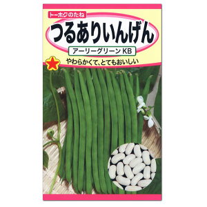 トーホク つるありいんげん アーリーグリーンKB 種 家庭菜園 インゲンのタネ 緑のカーテン グリーンカーテン たね 種子 夏野菜