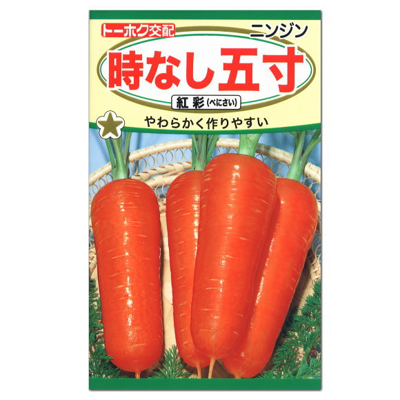 トーホク 時なし五寸 紅彩 にんじん 種 家庭菜園 人参 キャロット 西洋種 ニンジンのタネ 野菜 たねのサムネイル