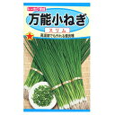 トーホク 万能小ねぎ スリム 種 家庭菜園 簡単 プランター栽培 薬味 栽培 ネギのタネ 葱 野菜 たね 種子