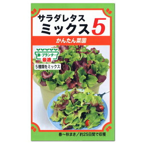 トーホク　サラダレタスミックス5種 家庭菜園 プランター栽培 ベビーリーフ レタスのタネ 野菜 たね