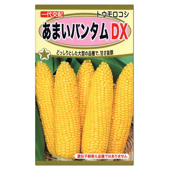 トーホク あまいバンタムDX トウモロコシ 種 中生種 家庭菜園 とうもろこしのタネ たね 種子 夏野菜 コーン