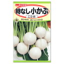 トーホク 時なし小かぶ こひめ 種 家庭菜園 野菜 栽培 プランター栽培 蕪 カブのタネ