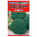 楽天ガーデニングと雑貨の菜園ライフトーホク ブロッコリー 緑積 りょくせき 種 人気の健康野菜 家庭菜園 野菜 栽培 ブロッコリーのタネ 健康野菜 たね 種子