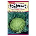 トーホク やわらかキャベツ コールサワー 種 家庭菜園 きゃべつ たね 種子 野菜 キャベツのタネ 三季まき 栽培