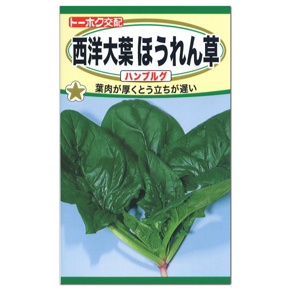 トーホク　西洋大葉ほうれん草 ハンブルグ　種（家庭菜園 プランター栽培 ほうれんそう たね ホウレンソウのタネ 野菜）