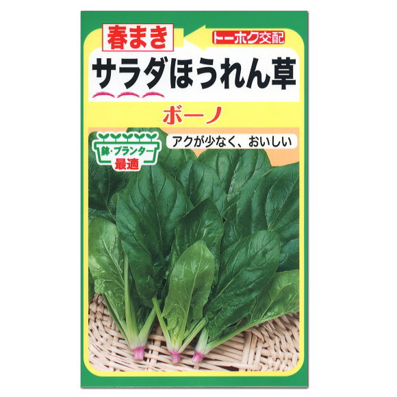 トーホク サラダほうれん草 ボーノ 種 家庭菜園 葉酸 プランター栽培 種子 ホウレンソウのタネ